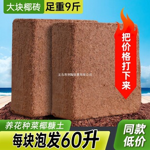 Ҭ�u�I�B���N��ͨ����Ó�}Ҭ����KҮ�u�����������B�������Nֲ��