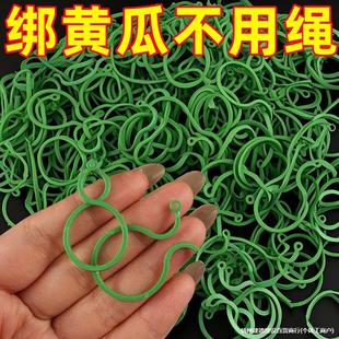 �S�Ϸ��Ѷ������ٽ�֦8�֊A�Gֲ�߲��������̶��A��֦�C