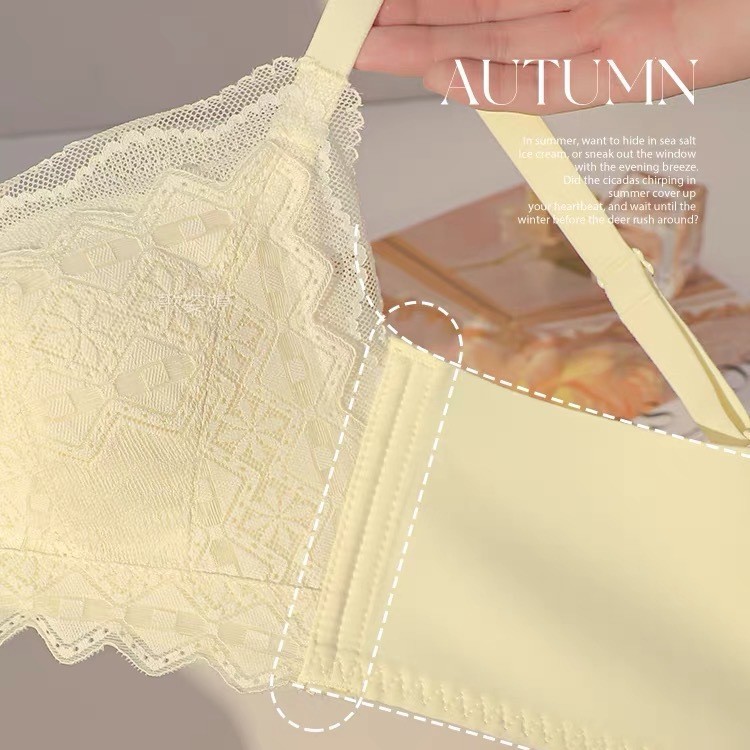 Venta directa de fábrica comercio electrónico transfronterizo Sudeste de Asia Vietnam Tailandia damas sin costuras sujetador de recogida lateral cómodo