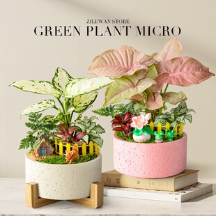 �t�ۼ��˺Ϲ������Կ͏d�k���҃����愓��Gֲ������ֲ�ﻨ�ܺ��B