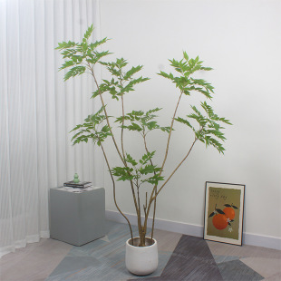 ¸߷㴻pݴֲ҃쾰͏db[