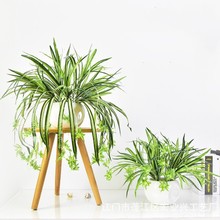 ����Gɫֲ��پG�~�҃�ˮ�ɵ��m���Ի��ٗl�Gֲ�b������@��ˇ