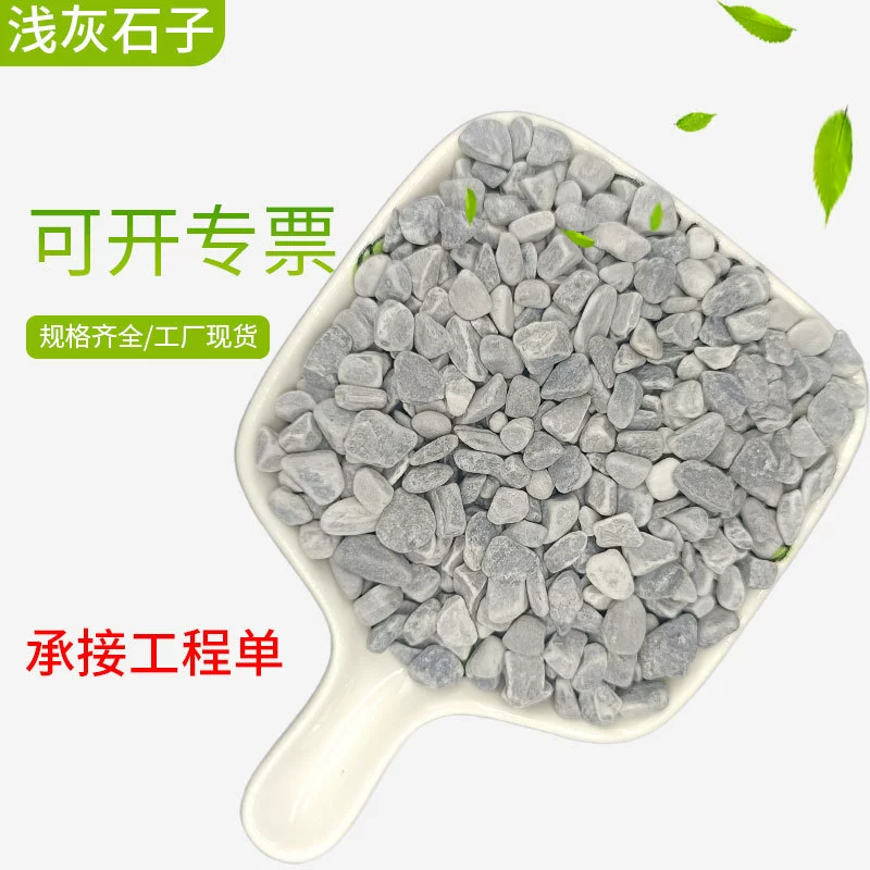 Прямые волосы завода светло-серые камни для ландшафтного проекта