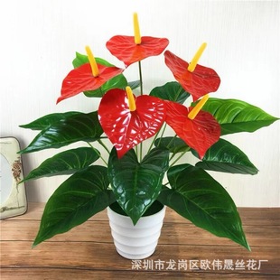 �S�����l18�^�t���~5��3d��ӡ�ٻ�����Gֲֲ���Ļ�c�b�