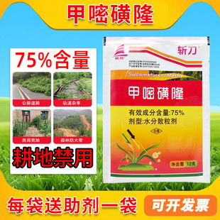 75%���׻�¡���݄��Ǹ��ػĵس��݄��زݠ����F·�s�ݹ�·�Ǹ���