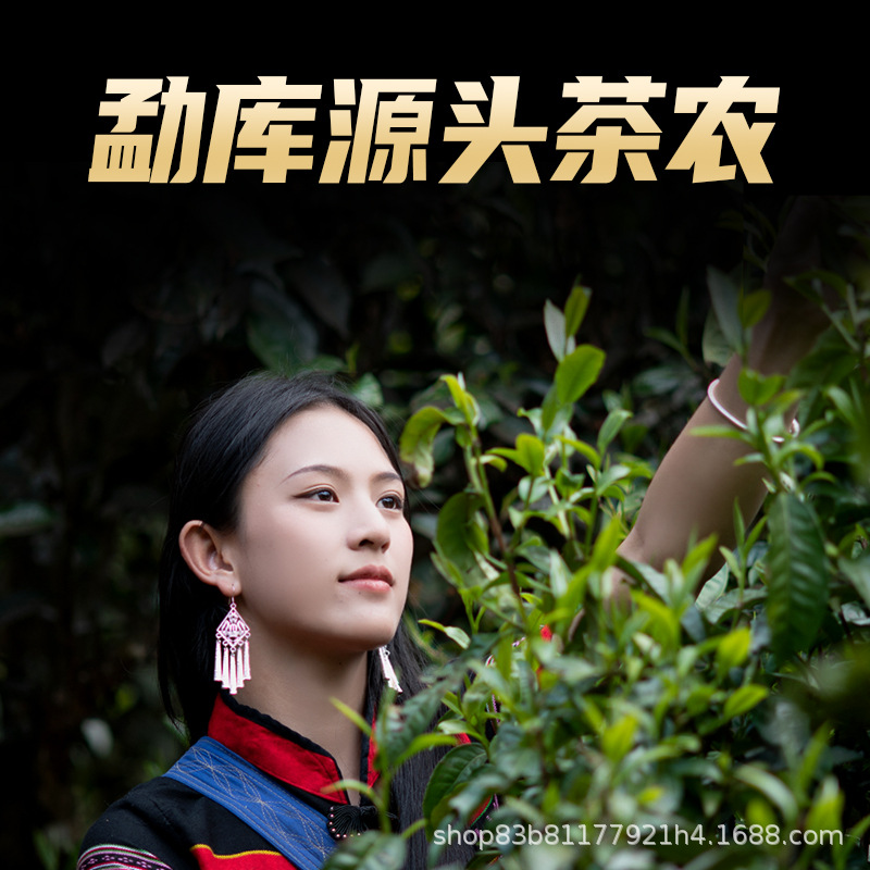源头茶农批发 勐库纯料懂过磨烈大小户赛云南普洱茶生茶散茶古树