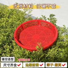加厚错位筛圆形粿筛老式塑料厨房沥水红色晾晒干货喜事镂空干果筛