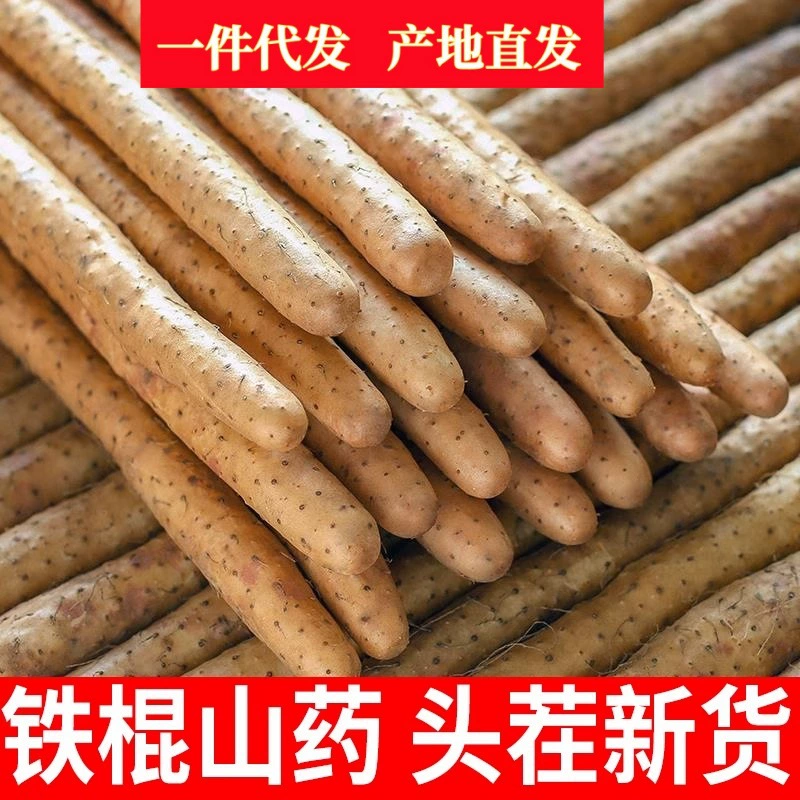 Аутентичный Iron Bar Yam 2.5kg Свежий маленький белый рот Yam Iron Huaishan 5kg НеWen County Yao Soil Dropshipping