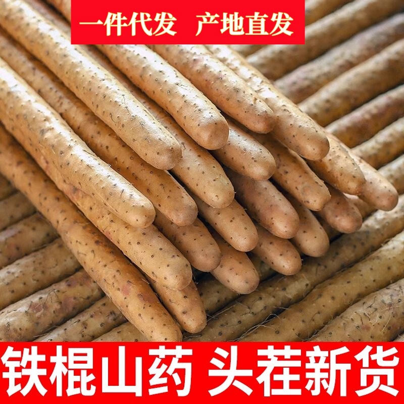 Authentic Iron Bar Yam 2.5kg Fresh Xiaobai Mouth Yam Iron Bar Huaishan 5kg Feiwen County Loong Soil Dropshipping