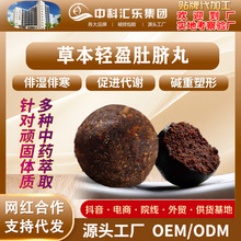 艾脐贴艾草肚脐丸艾绒桂圆伏瘦瘦丸艾草脾胃肚脐贴代发贴牌代加工