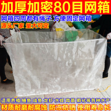 �S��ֱ�Nˮ�a�Bֳ�W��Ӻ�W80Ŀ10ĿС�۾W�������B�����X�~�W��