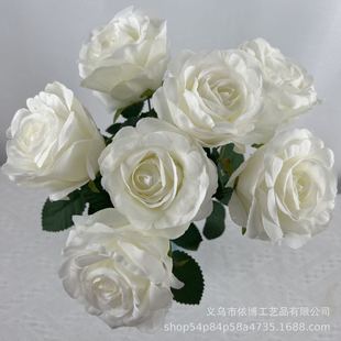 7�^õ�����õ��ins�L�����ٻ��껨T̨����Y���Ҿ��b��滨