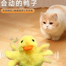 �羳�¿����ȸ�Ĵ��ȳ��l����늄��B؈��������ߔ[���B