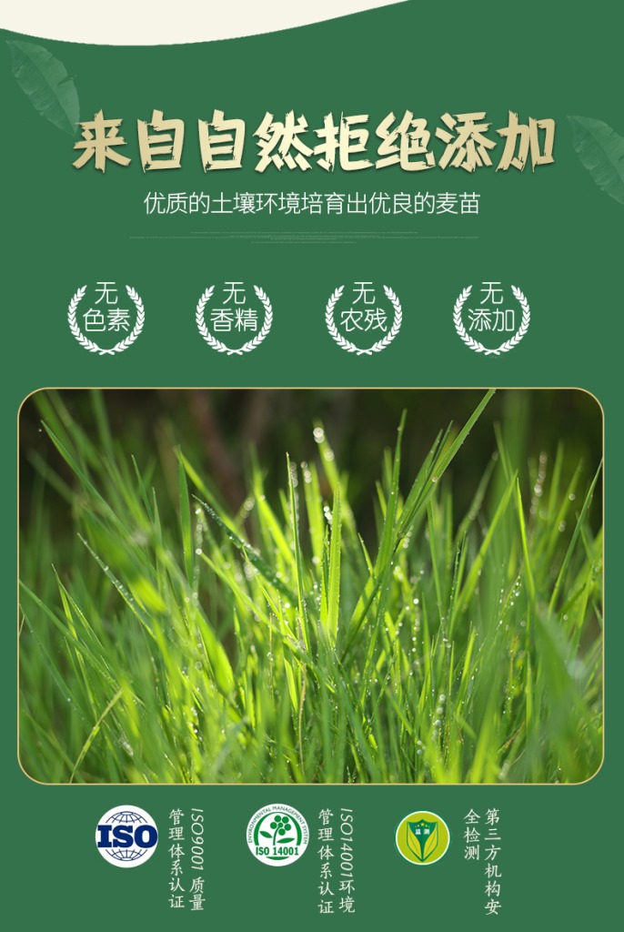 6-青汁-拷贝0-拷贝_09