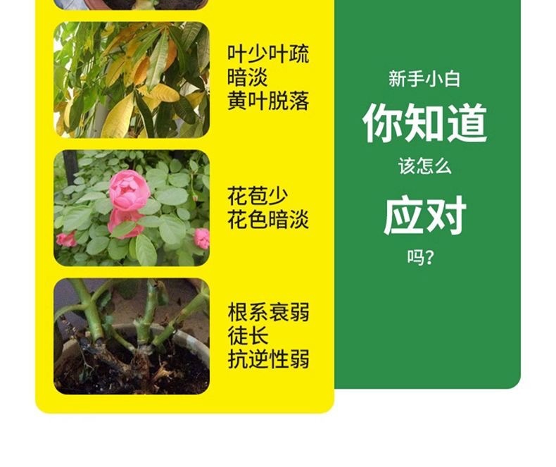 a425b389-c896-470b-a888-9422c048e3e0.jpe