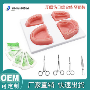 Dentist Training Tooth and Gum Suture Module Tooth Suture Set Oral Surgery Instrument Suture Thread