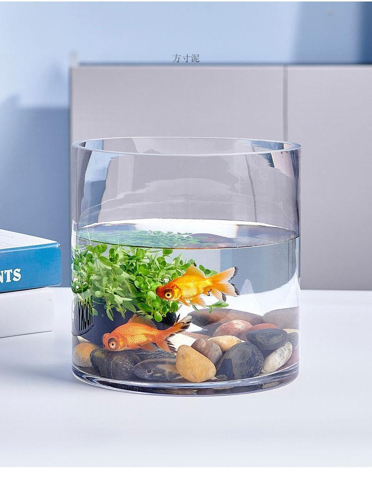 be8685ad-626f-4902-b3a2-65218c624802.jpe