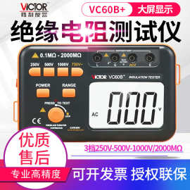 胜利绝缘电阻测试仪VC60B+/D/E+/3125/3123数字高压兆欧表摇表5KV