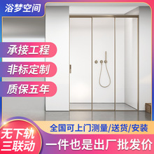 一字型淋浴房卫生间干湿分离无下轨三联动玻璃隔断平移门轻奢浴屏