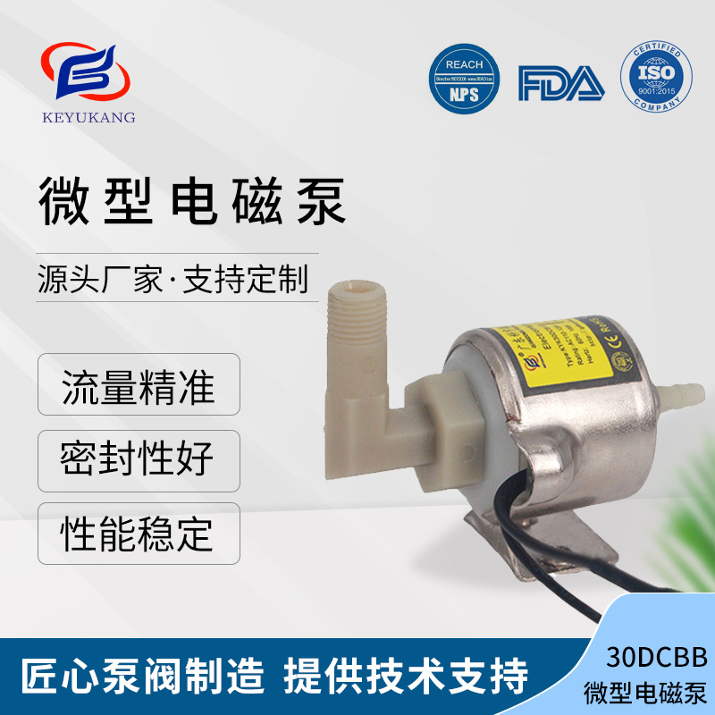 定制30DCBB 400W一1000W舞台烟雾机，消毒机电磁泵