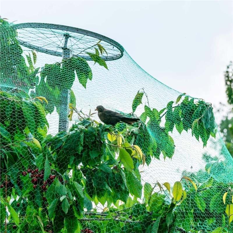 Green Anti-Bird Net, Vegetable and Fruit Anti-Bird Net, Insect-Proof Net, Grape Protection Net, Fish Pond Cover, Greenhouse Gardening Nylon Mesh