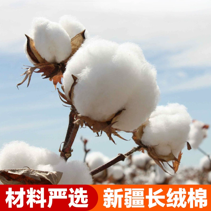 Pure cotton wadding Class A