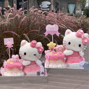 520���˹��Y����Dhellokitty�������滨�P��KT؈�[����Ů���|��