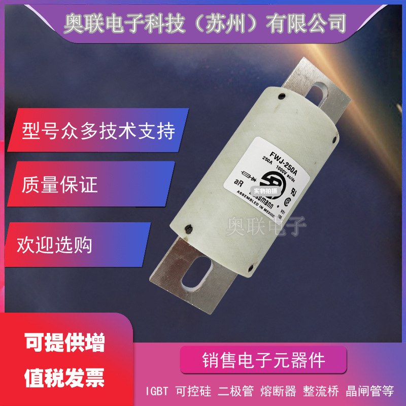 FWJ-175A FWJ-200A FWJ-250A FWJ-300A FWJ-350A巴斯曼熔断器