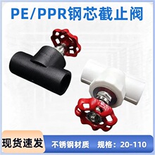 4�ֲ��P䓽�ֹ�ype/ppr�ܟ��۽�ֹ�yˮ���_�P�y�T20-110���b�ܼ�