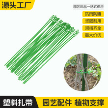 �@�֌��ö���;�~���������{�����������������̶��@ˇ������֦�C