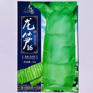 ���S16̖���n�S�ߜ،����s���n�S�N����Ƥ���������n�S����������