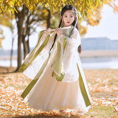 Ladie's Hanfu 2025 New Spring and Autumn Ancient Costume Wei Jin Style Exquisite and Ethereal Wide-Sleeve Fairy Dress Embroidered Hanfu Set