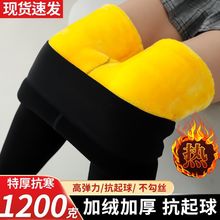 غaѝŮѝӽqӺ⴩һwѝůѝѝŮ