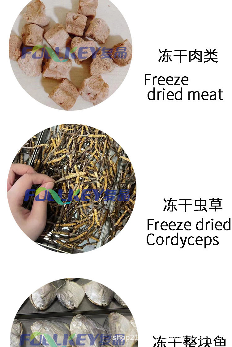 冻干案例展示_02.jpg