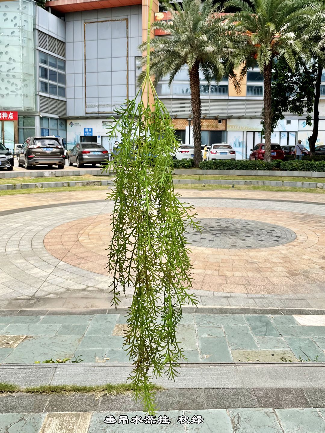 微信图片_20210712123442_副本.jpg