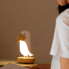 Creative cartoon lights, jewelry for bedroom for bed, lantern, respiratory universal lamp, night light