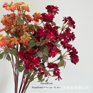 ����͹�ʯ�� ��ɫϵ���� �Ĕz���� �͹������OӋ �Ӱ��g