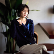 跨境日系韩版秋季新款小马儿绣花韩版简约时尚上衣针织开衫上衣女