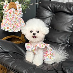 お姫様風花柄スカートサモエコキラブラドール中大型犬犬犬スカートピンク夏薄手服
