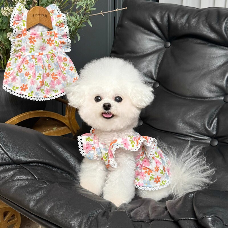 Princess Style Floral Dress Samoyed Corgi Labrador Medium and Large Dog Skirt Pink Summer Thin Dress