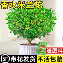 ��ˮ���m�����Ի������ֲ���҃ȾGֲ�ļ��_�����̨���B���㻨��