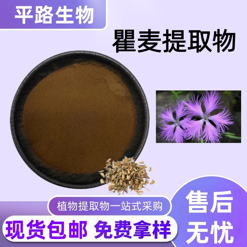 瞿麦提取物30:1石竹草水溶性浓缩粉末现货包邮量大价优巨句麦粉