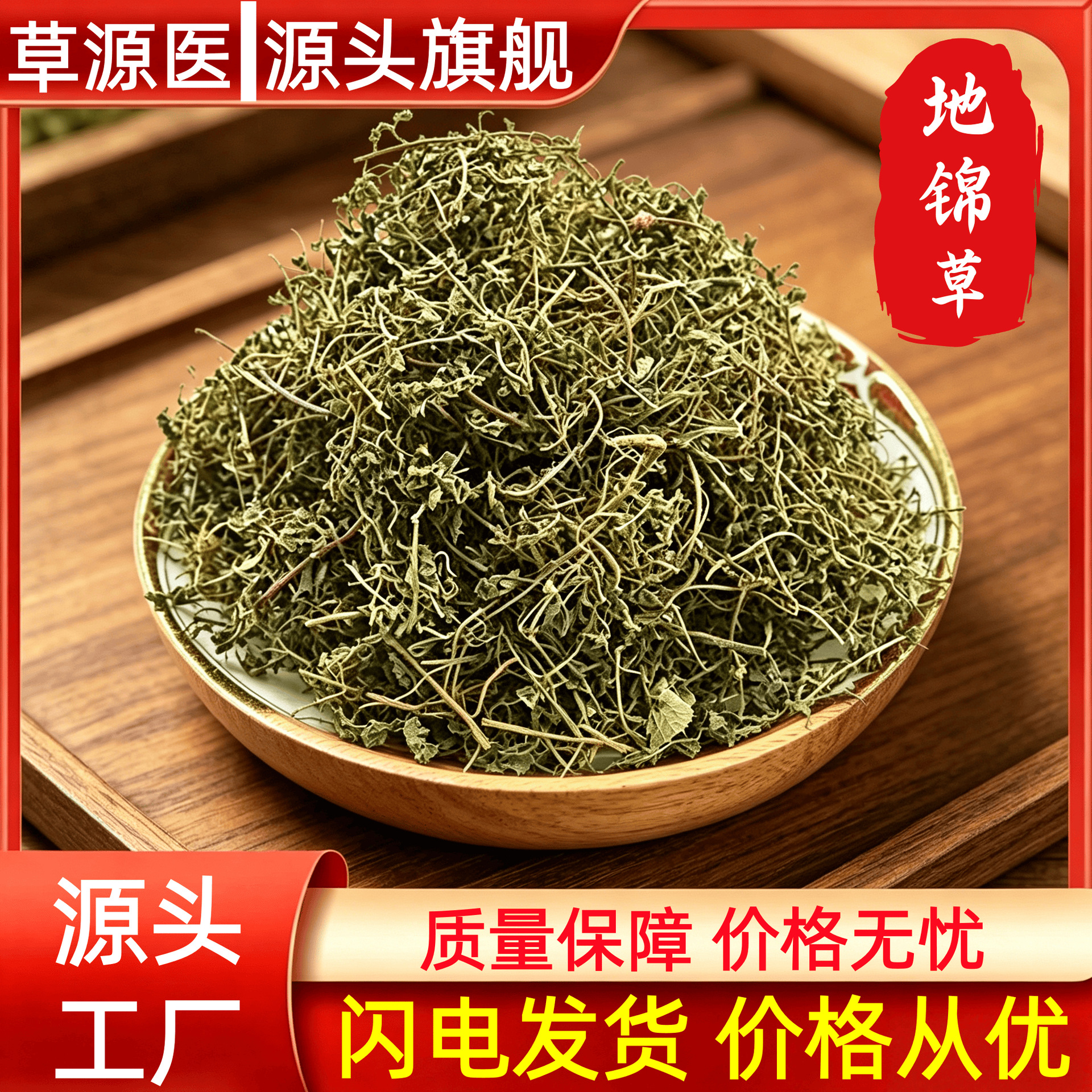 Dried Euphorbia Herb Di Jin Cao 地锦草 500g Traditional Chinese Herbal Tea Material in use