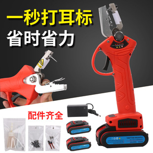 늄Ӷ����Q�F���iţ����̖�Q��ĸ�i�����ԄӴ�����Q���Bֳ��е