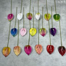 17色可选仿真红掌花单支高端手感胶质火鹤花客厅餐桌装饰假花婚庆