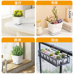透氣多肉專用花盆加厚方形帶托盤家用辦公室桌面創意精緻花盆塑料