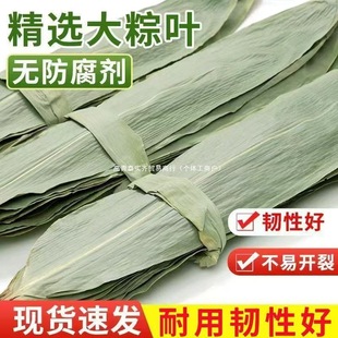Wholesale Large Dried Zongzi Leaves, Large New Leaves for Wrapping, Cheap for Home and Commercial Use during the Dragon Boat Festival
