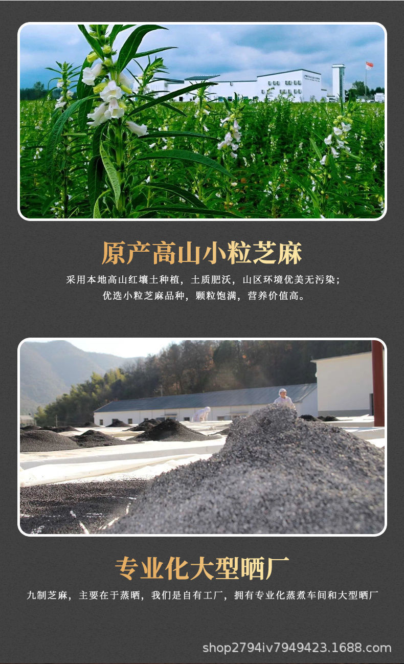 Nine Steamed Nine Dried Black Sesame Powder 500g Sugar Free Meal Replacement Ground Hei Zhi Ma details