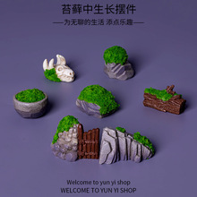 微景观创意仿真假山苔藓石堆门 园艺造景diy装饰品配件微缩小摆件