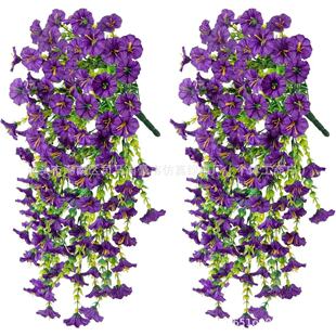 ����ͥԺ���滨 �ȼ�����ţ�������Ҿӻ�Y��Y�bڒ��ٗl����